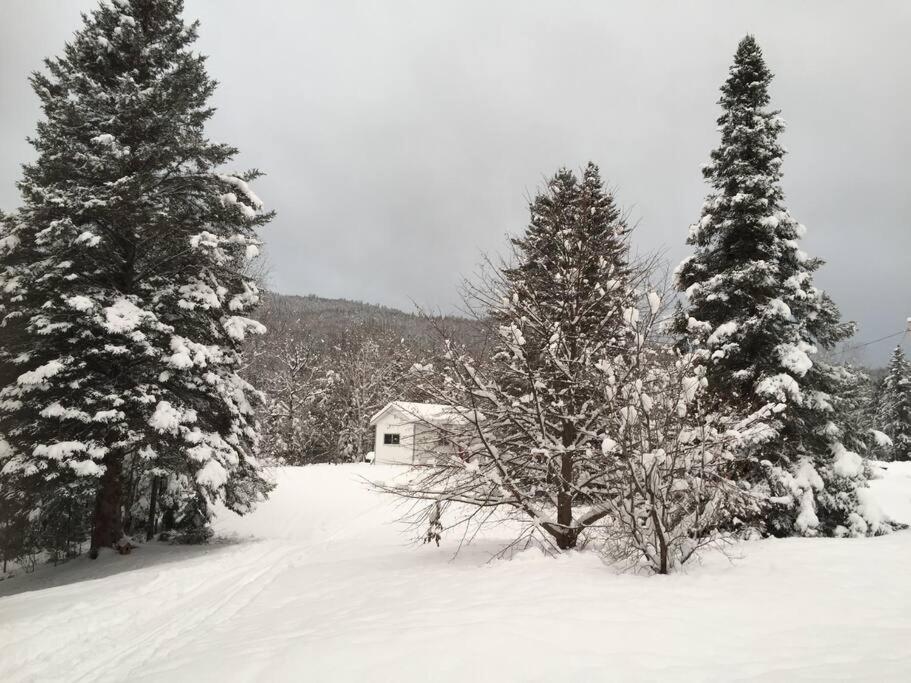 Chalet Au Bord Du St-Maurice La Tuque Εξωτερικό φωτογραφία