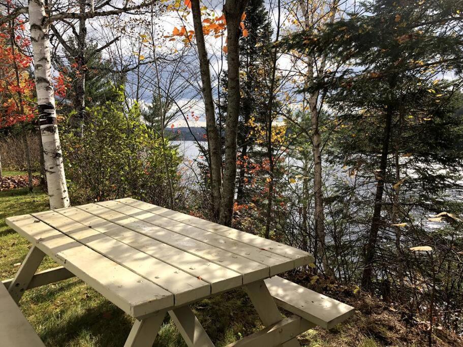 Chalet Au Bord Du St-Maurice La Tuque Εξωτερικό φωτογραφία