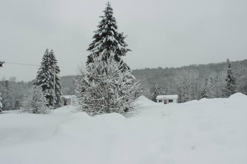 Chalet Au Bord Du St-Maurice La Tuque Εξωτερικό φωτογραφία